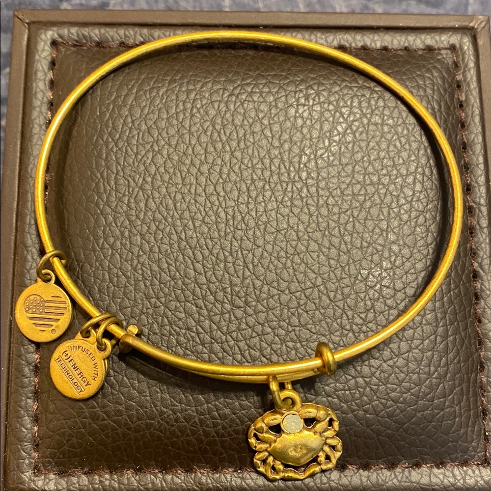 Alex and Ani Gold Crab Charm Bracelet